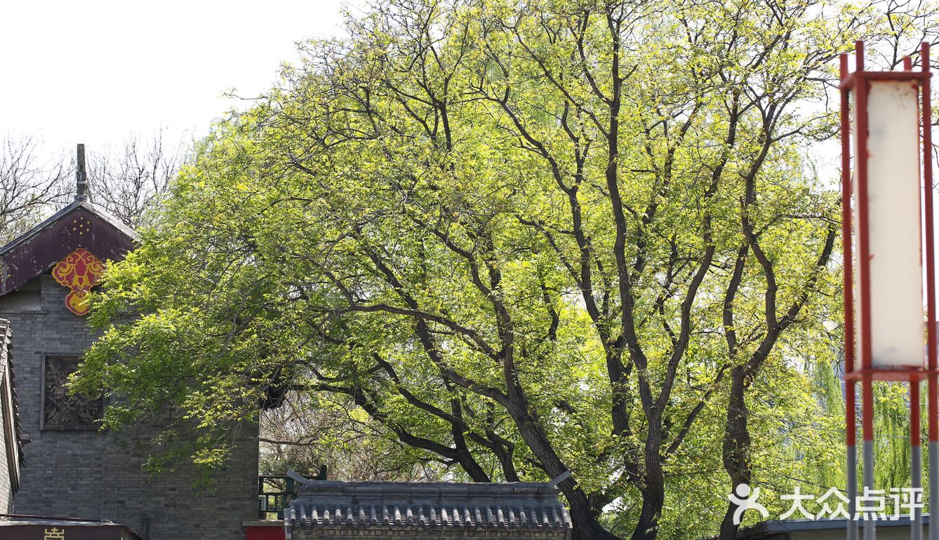 春色正好,游客不少。疫情前只有附近居民饭后来遛达