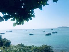 -东澳岛