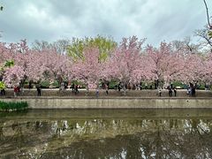 -元大都城垣遗址公园