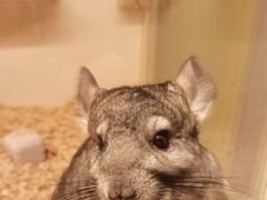 -龙猫仔乐园(惠福东路店)