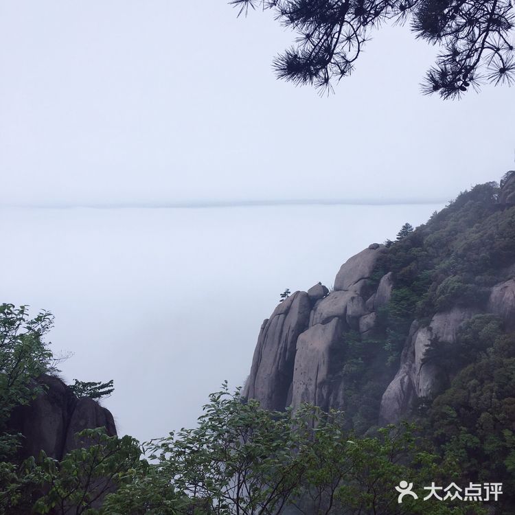 人间四月芳菲尽 花台杜鹃始盛开