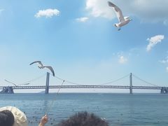 -星海湾跨海大桥
