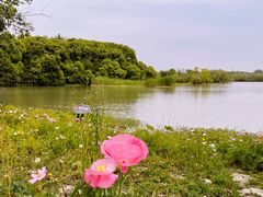 -沙家浜风景区