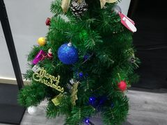 -梅纳·钢琴声乐架子鼓Mena Music(双井店)