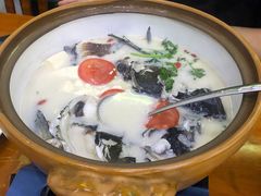 -全乐鱼馆·淳牌有机鱼直营店