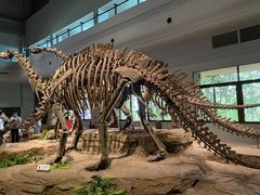 -自贡恐龙博物馆