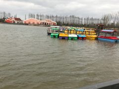 -上海长兴岛郊野公园