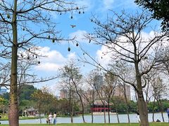 -顺峰山公园