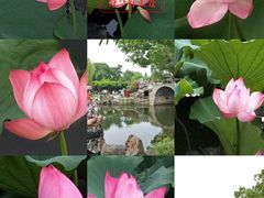 -无锡蠡湖国家湿地公园-蠡园
