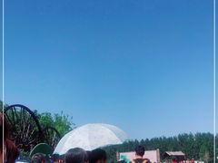 -呀路古热带植物园-恐龙馆