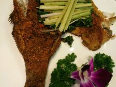 烤鱼-香巴拉云南餐厅(华莱坞店)