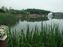 -大塘金香草谷