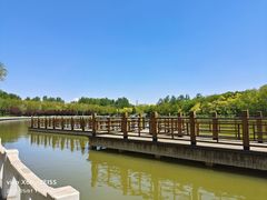-塘沽森林公园