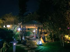 -河源客天下-温泉小镇