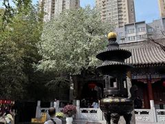 -罔极寺
