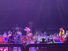 -广州长隆国际大马戏