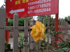 -小六农家乐(崇明西沙湿地店)