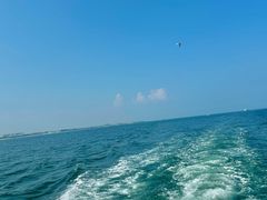 -日照世帆赛基地