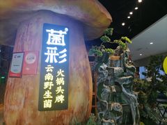 -菌彩云南野生菌火锅(万达广场店)