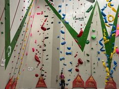 -绿壁虎攀岩基地(Tcar店)