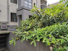 -江南大学(蠡湖校区)