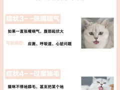 -立德24H动物医院·夜诊·转诊中心·1.5T核磁共振(海珠店)