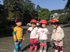 -铁山坪森林公园