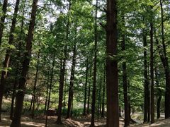 -白水寺森林公园