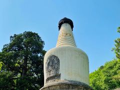 -大觉寺-停车场