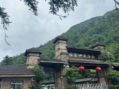 -姑婆山旅游区