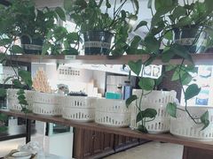 -大清花饺子(山庄店)