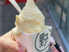 -野人先生现做冰淇淋(北京顺义祥云小镇店)