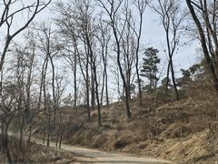 -青州仰天山