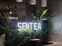 -SENTEA森茶(麦地丽日店)