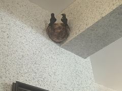 -绿房子方寸咖啡(星海名城店)