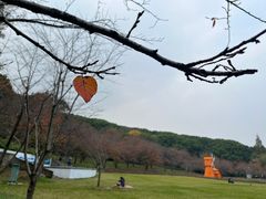 -苏州上方山国家森林公园