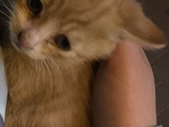 -天津市黄河医院