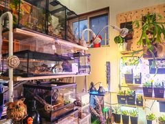 -Rabbit Cafe私房西餐甜点咖啡(栖霞路店)