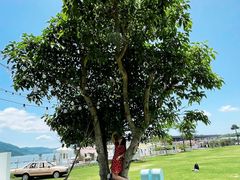 -花海间·即刻露营