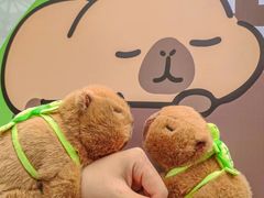 -萃茶师(琅西店)