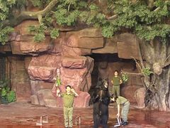-长鹿旅游休博园