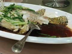 -海晖酒楼·顺德鱼生(荣华店)