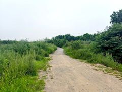 -绿堤公园