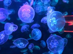 -多彩贵州城极地海洋世界