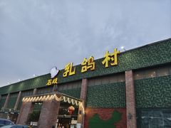 -石岐乳鸽村(南海第三分店)
