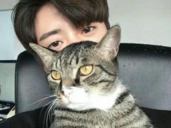 -吾悦广场(渭南店)