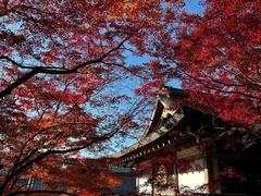 -三千院