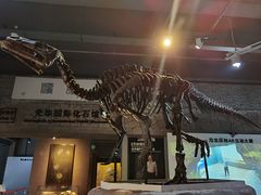 -中华赏石园