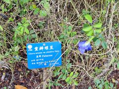 -中国科学院西双版纳热带植物园