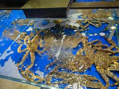 -炊江南·上海菜(国展华漕店)